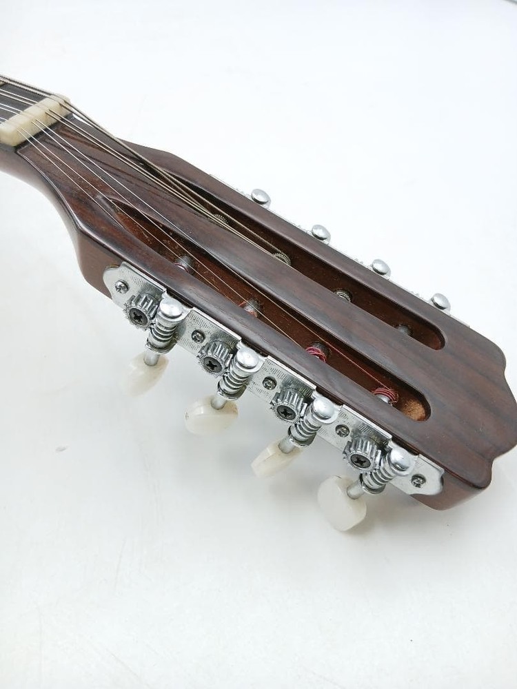 Suzuki violin mandolin with hard case