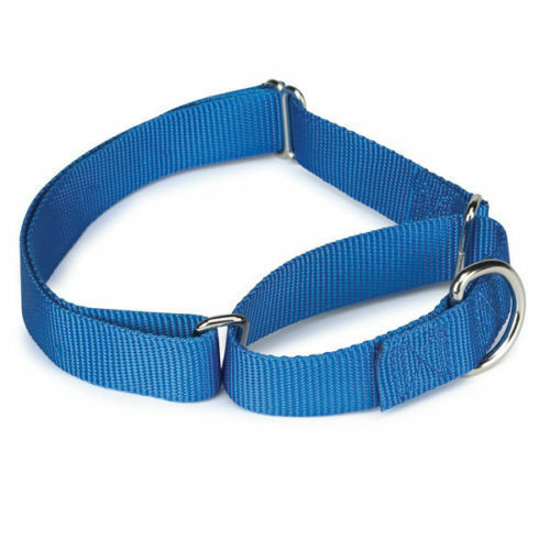 Martingale Dog Collars Adjustable Nylon Choke No Pull Training Pick Color & Size