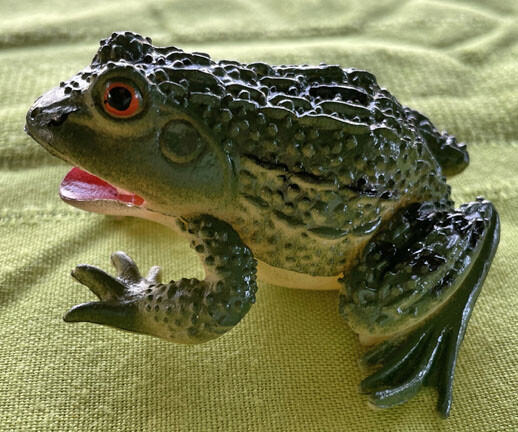 Exotic Frogs and Toads - Hollow Vinyl
