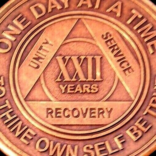 Alcoholics Anonymous AA 22 Year Bronze Medallion Token Chip Sobriety Sober