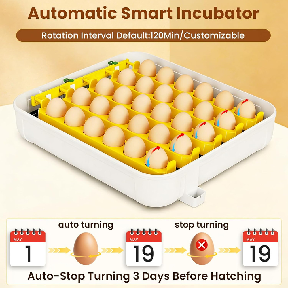 Incubators for Hatching Eggs, 30 Chicken Eggs Incubator with Automatic Egg Turni