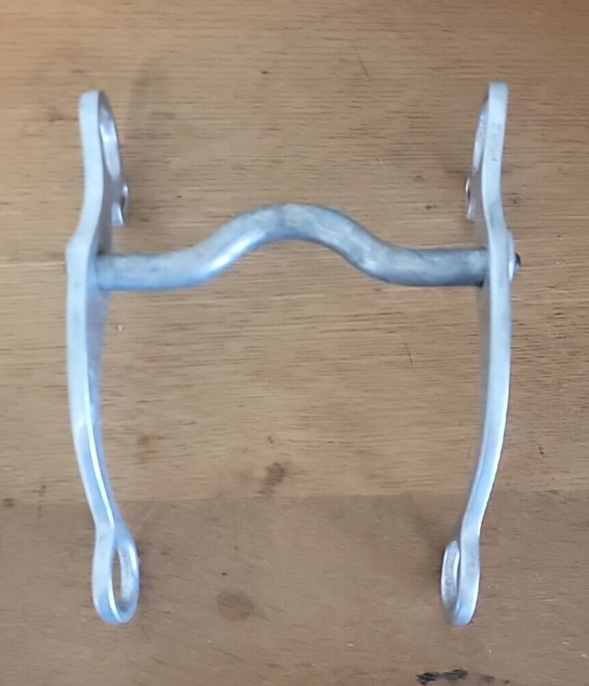 Engraved Ricardo Low Port Horse Bit