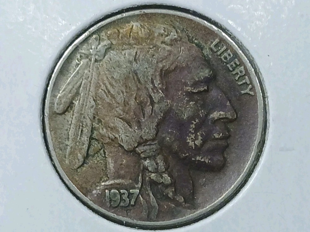 1937 Buffalo Nickel