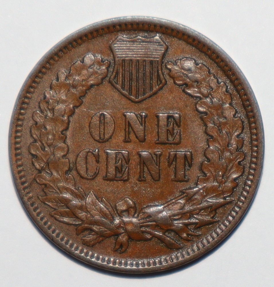 1899 Indian Head BROWN UNC (Y162)