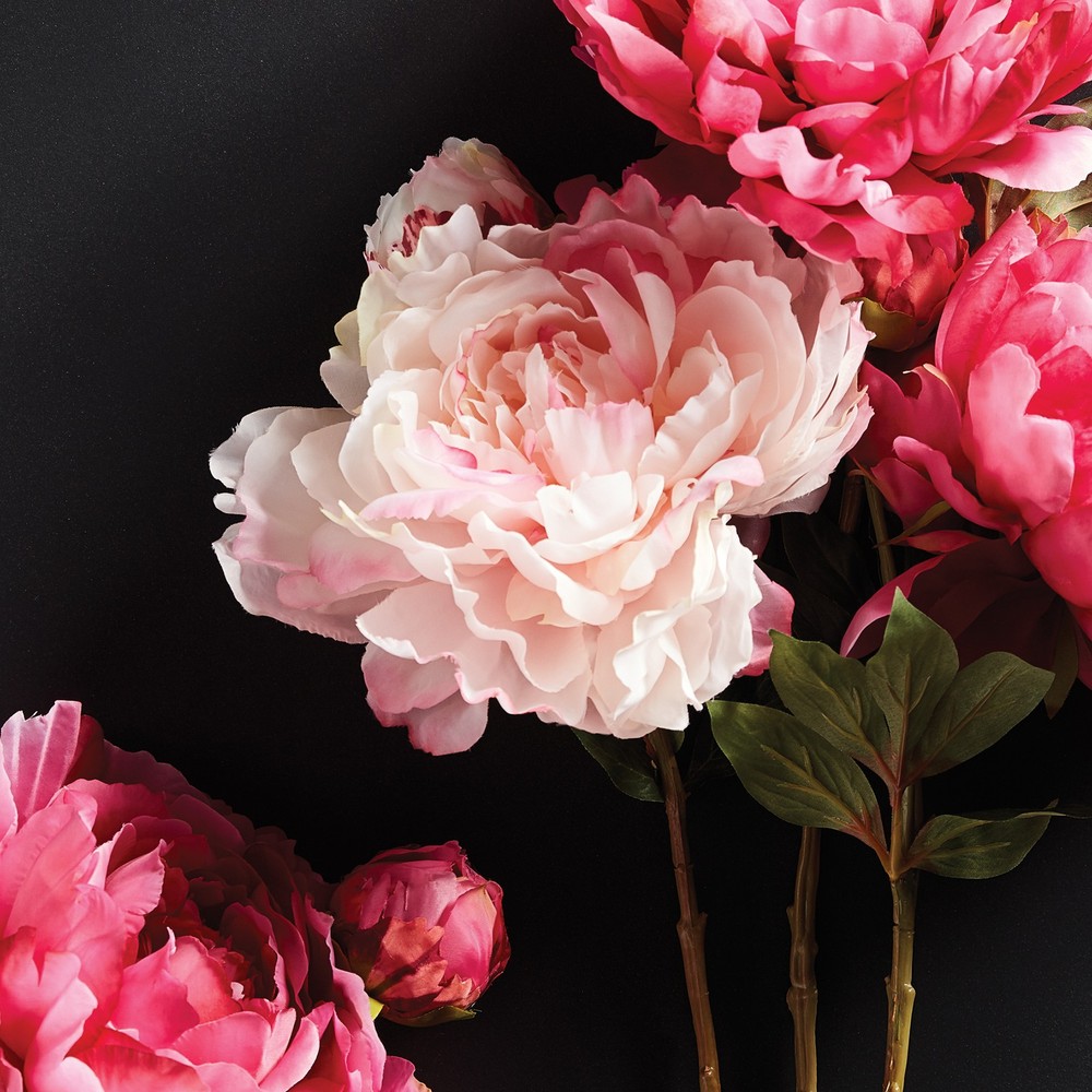 PEONY STEM 21"