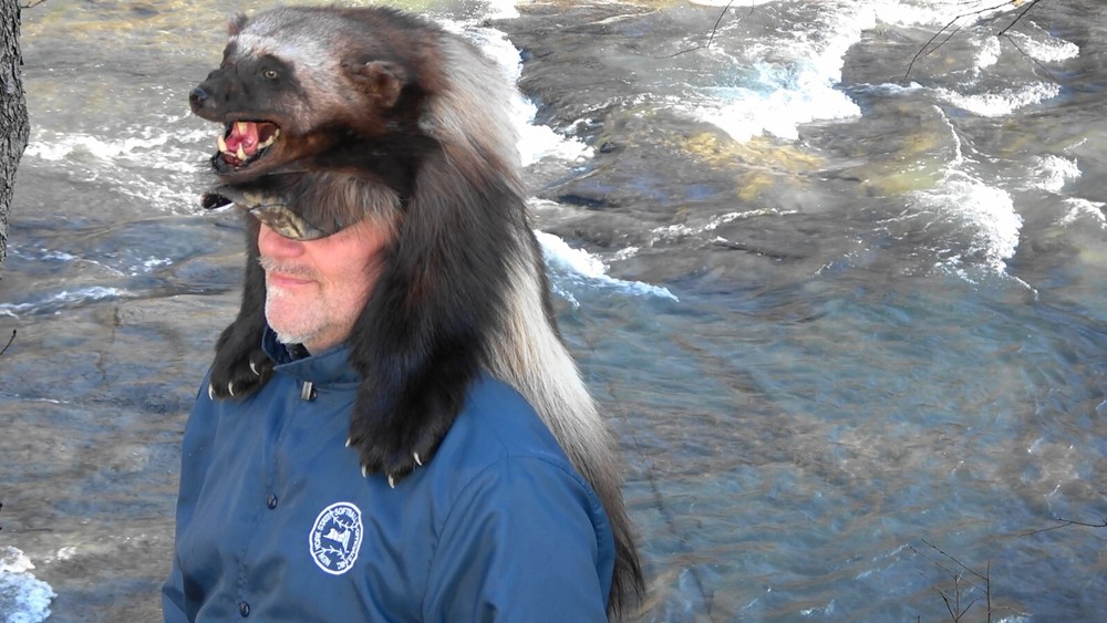 Wolverine fur hat