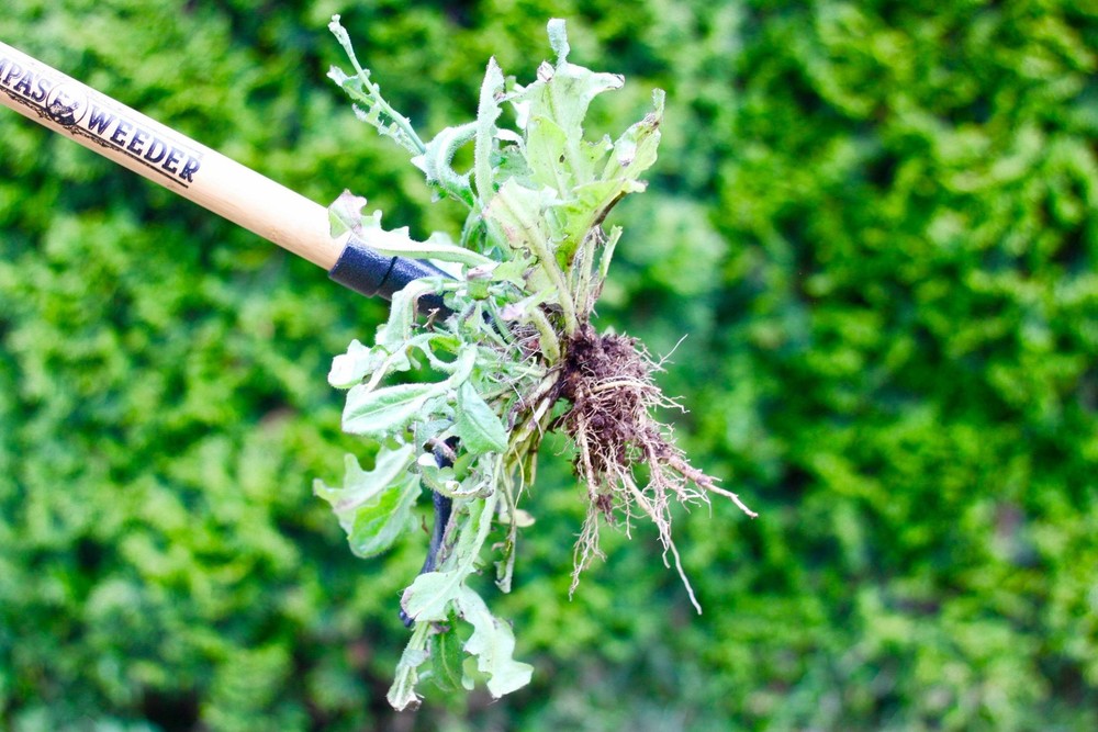 Grampa's Weeder - The Original Effortless Weed Remover