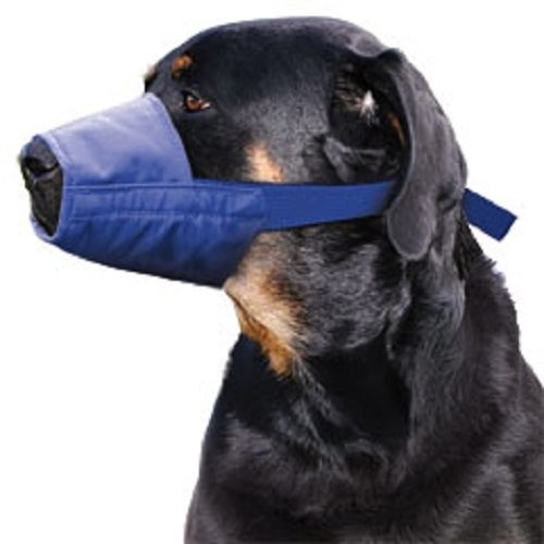 Four Flags Quick Muzzle, XXL, Blue XX-Large, blue