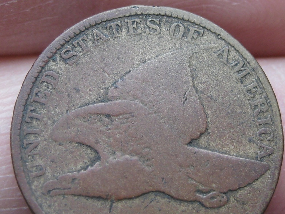 1857 Flying Eagle Penny One Cent- VG/Fine Details