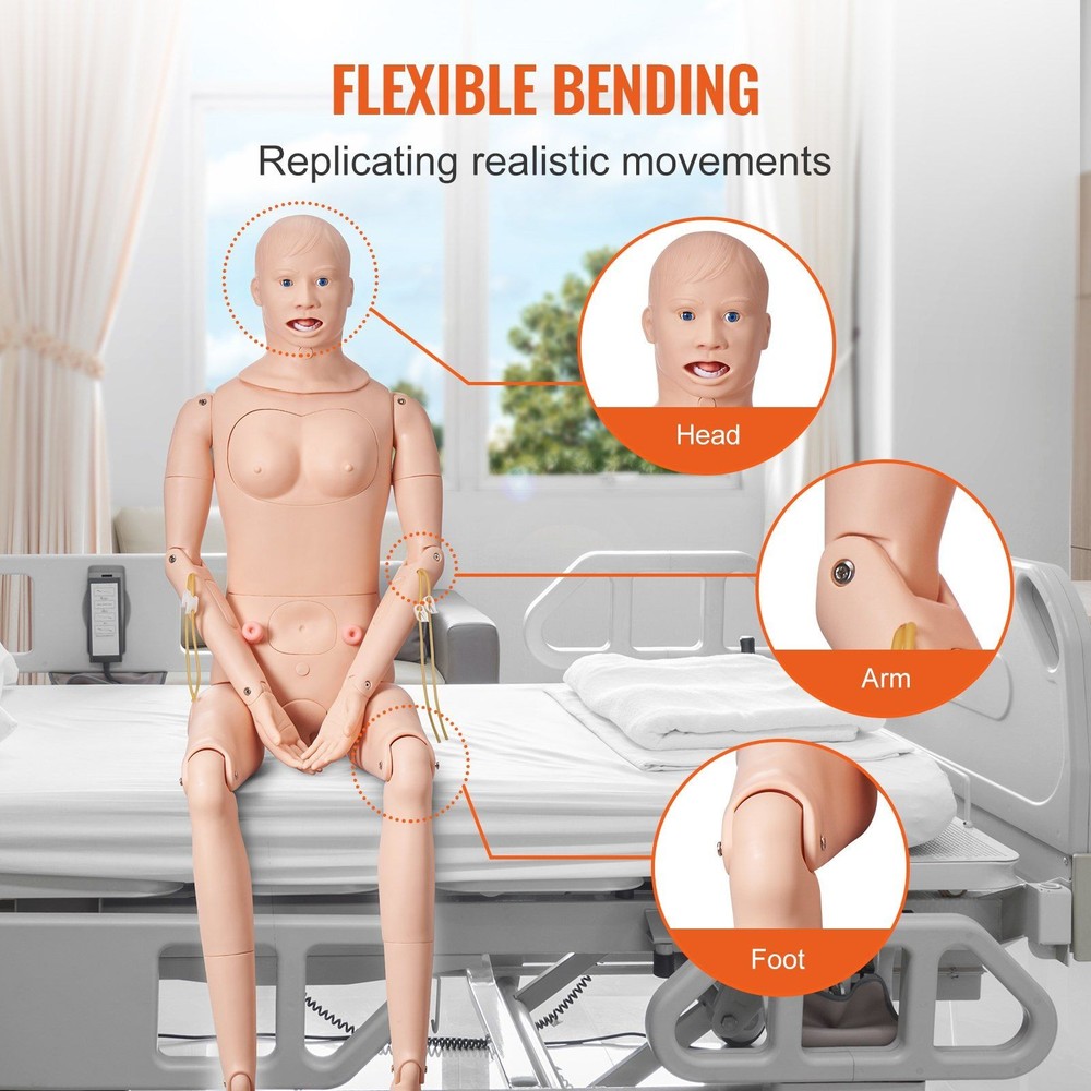 Life-Size Anatomical Care Simulator with Multifunctional Training Features