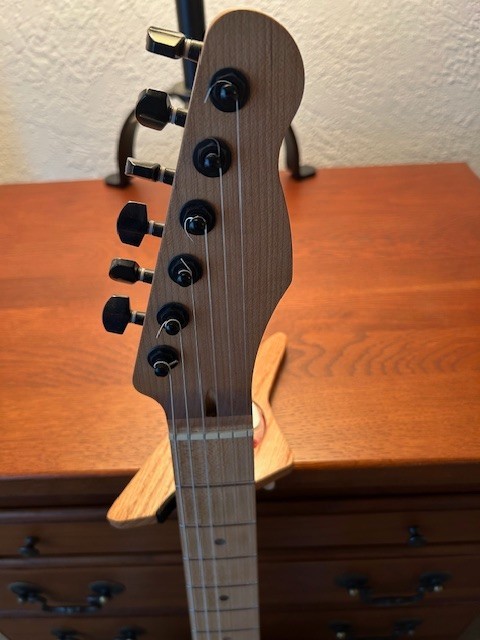 Electric Guitar EXP Rest