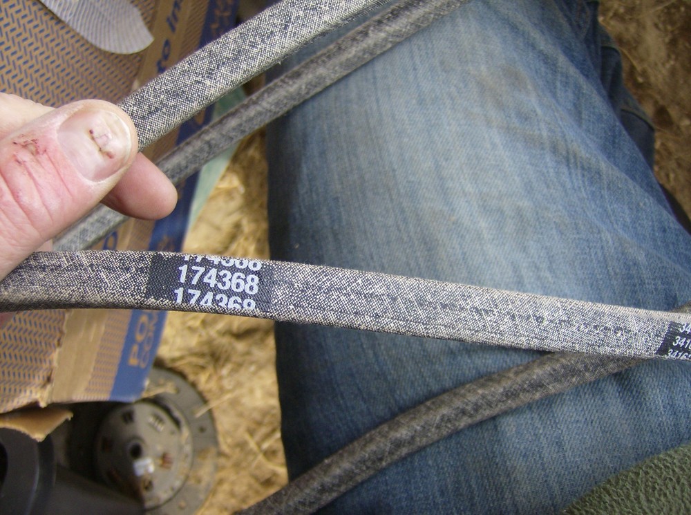 174368 BELT