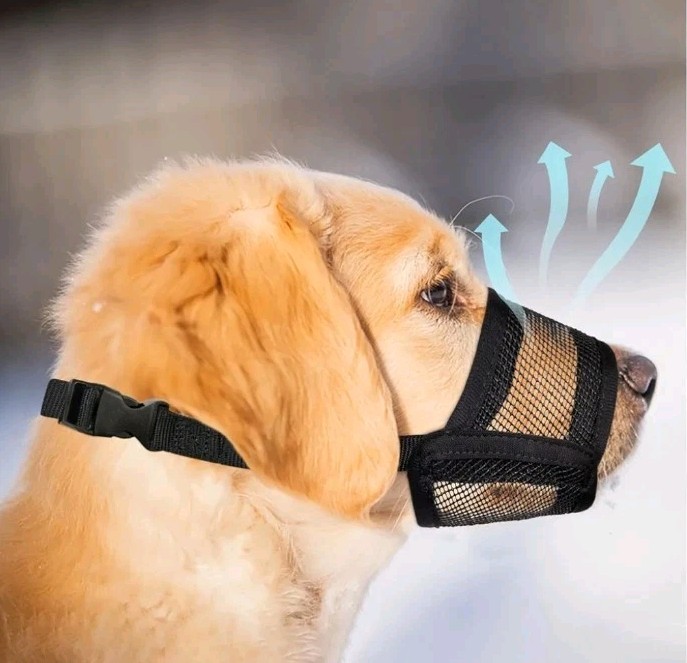 Evolve Breathable Mesh Dog Muzzle W/Adjustable Strap Large Sized Dogs Black Sz L