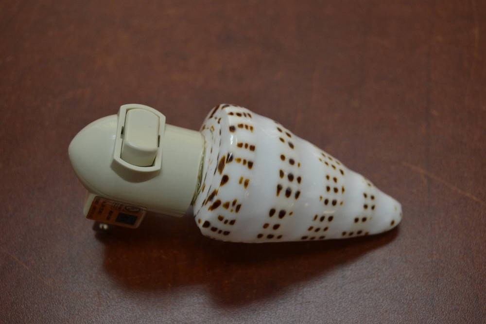 STRIPE CONE SEA SHELL NIGHTLIGHT