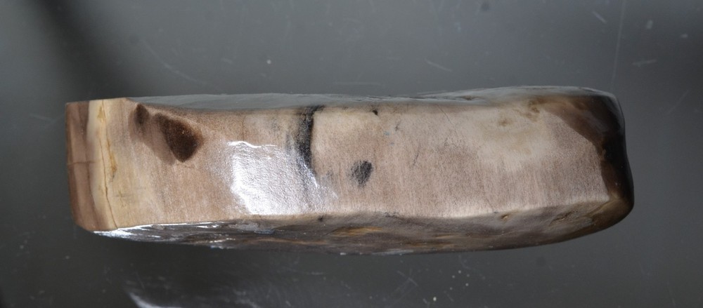 Utah Petrified Wood