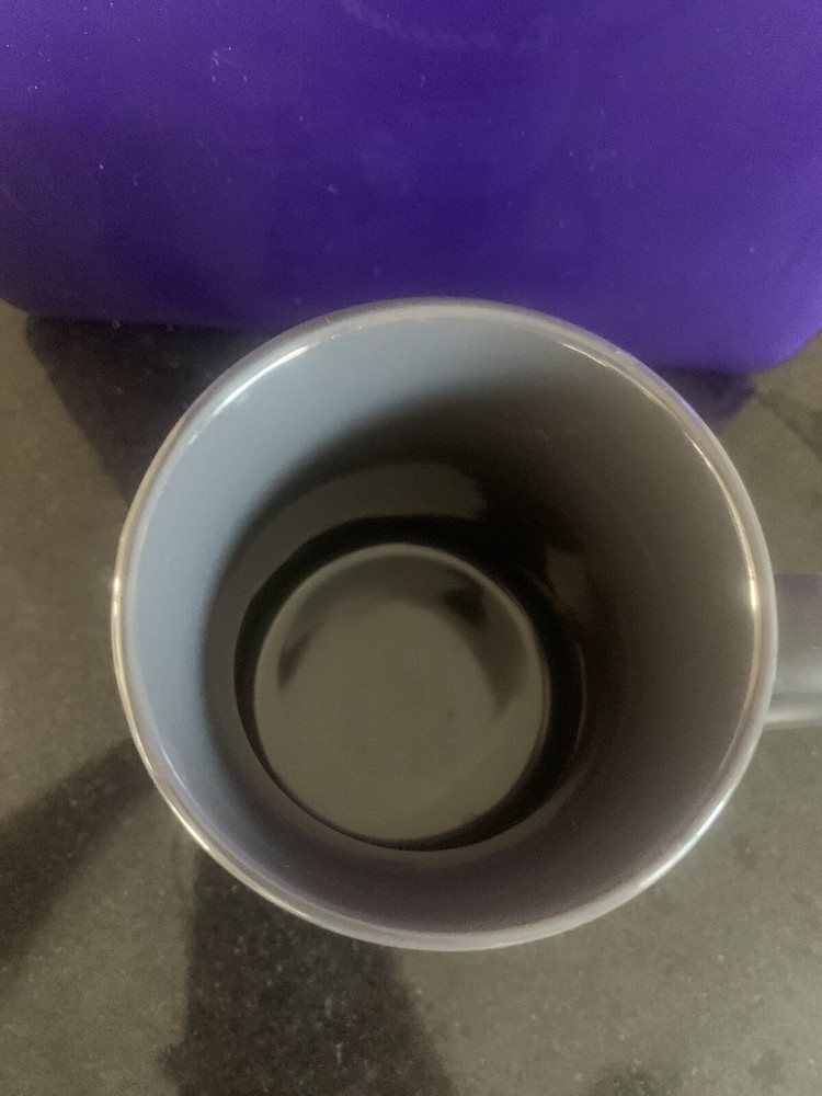 Boeing 787 Dreamliner Mug