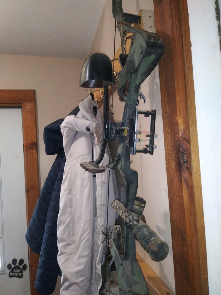 Oneida Eagle Tomcat II EXP compound bow