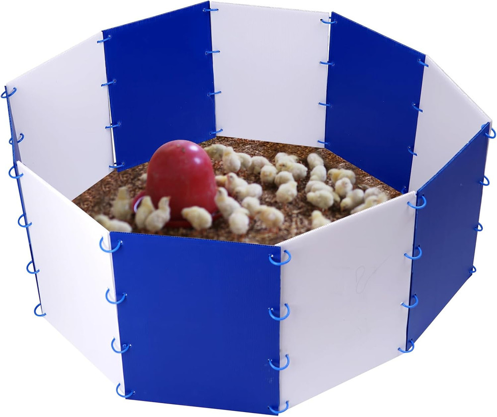 Chick Starter Kit Chicken Brooder Box for 15 Ducks Chicks Portable Coop & Chicke