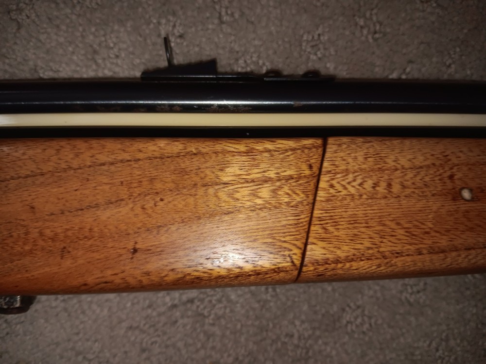 Crosman 140 Sears and Roebuck Variant