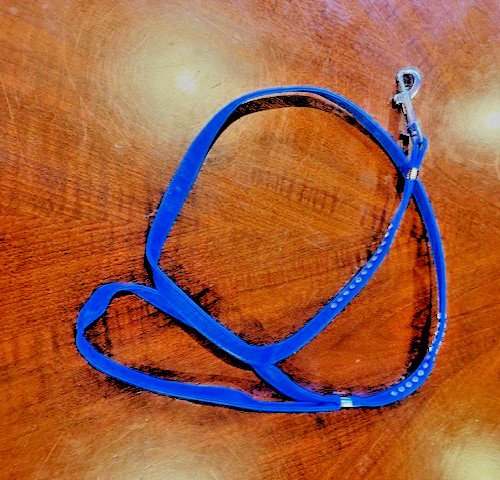 (NEW) Clear Crystal Leash Silver SILVER Hardware - 4ft (Mirage)