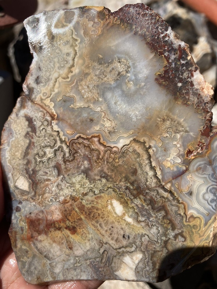 Crazy Lace Agate Slab