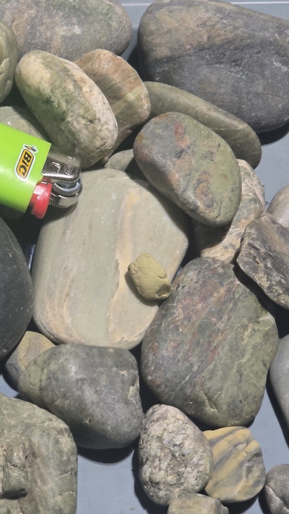 Montana Green Rocks
