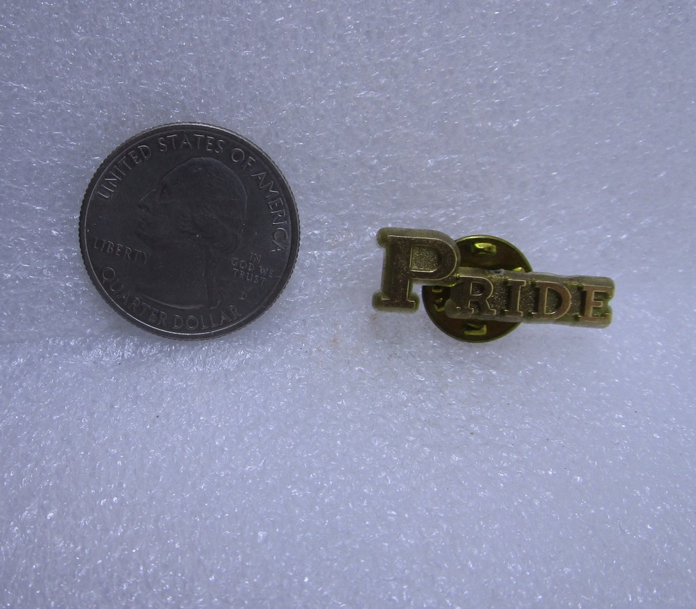 Pride Plastic Pin