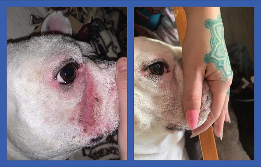 Squishface Flexible Silicone Dog Wrinkle Paste Applicator - Gentle Application
