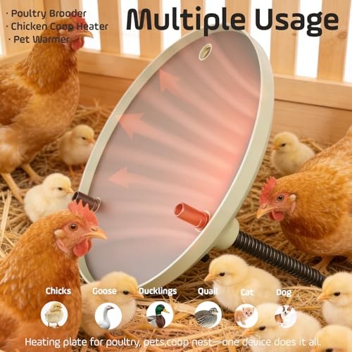 Brooder Heater for Chicks,12inch Metal Heating Plate, Adjustable Height &