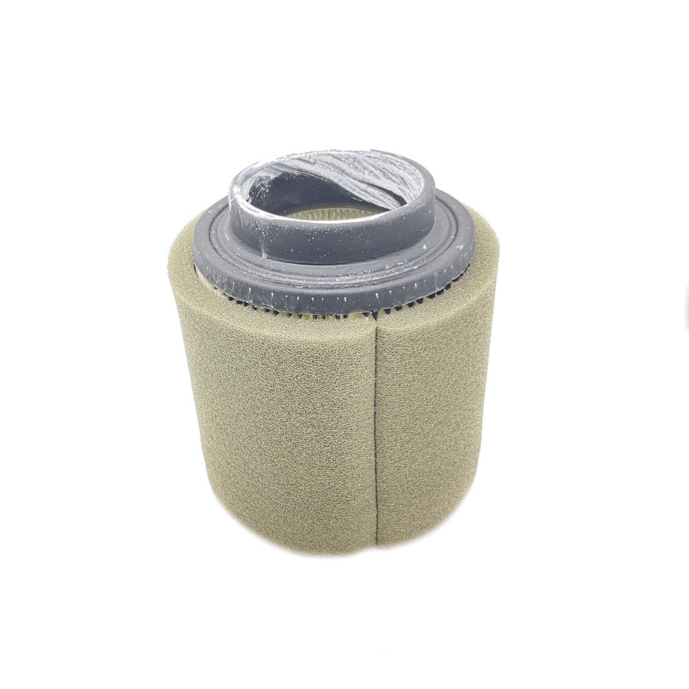 Polaris Filter Assembly, for Specific ATV Models, Genuine OEM - 1253355