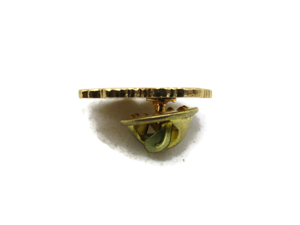 Blue Paw Print Pin & Gold Tone