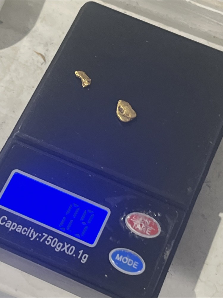.9 Gram Alaska Gold Nuggets Small Piece