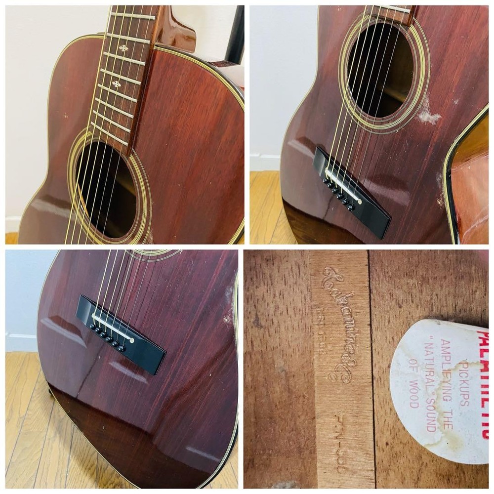 Takamine PTN-006 Classical Guitar