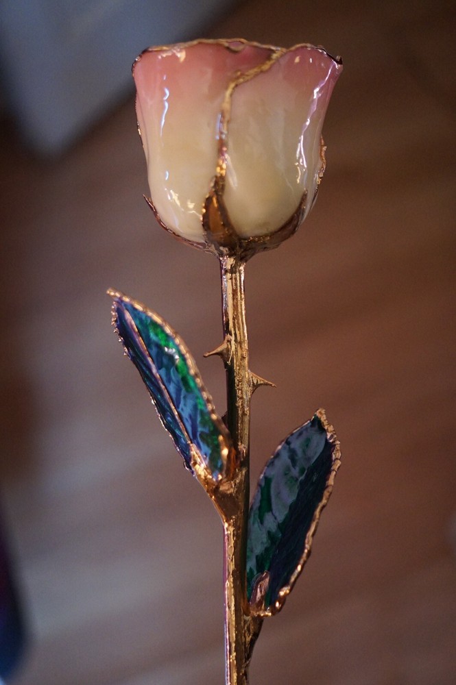 24k rose co