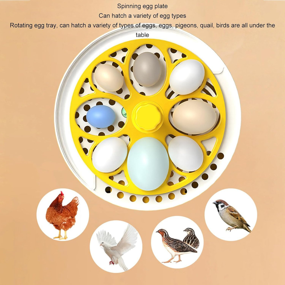 Egg Incubator, Automatic Temperature Control 4 Eggs Chicken Egg Incubator Portab