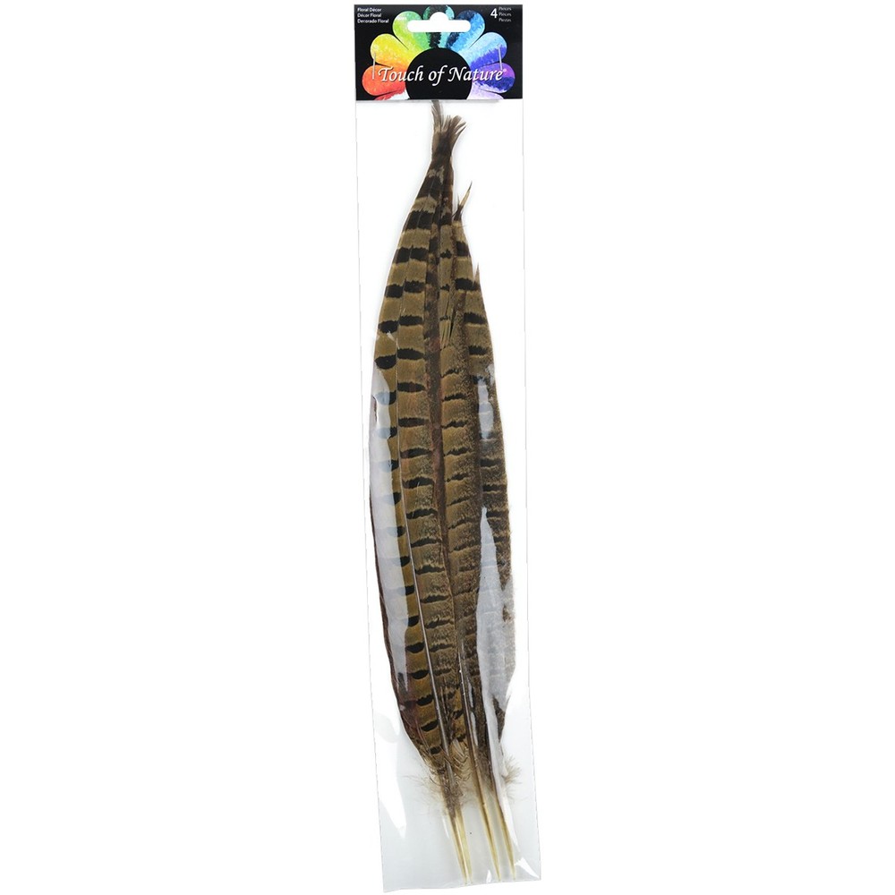 Ringneck Pheasant Feathers 4/Pkg Natural