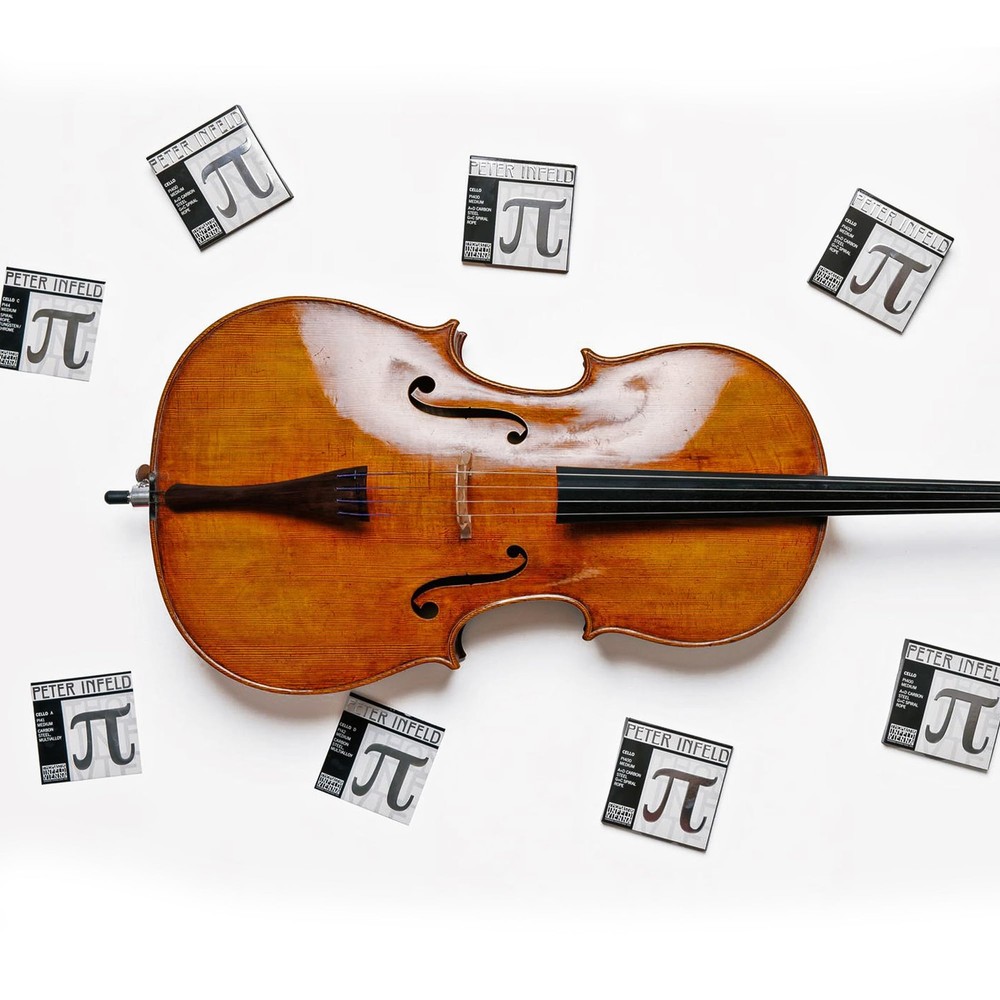Thomastik-Infeld Peter Infeld Cello D-String - Flexible with Medium Tension 14