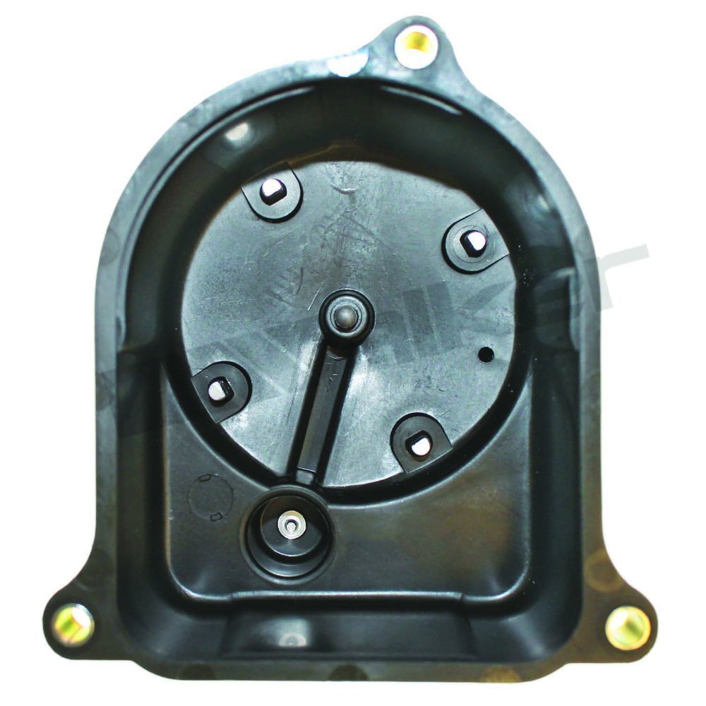 Dist Cap Walker Products 925-1036
