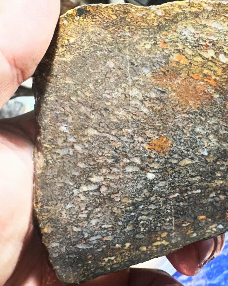 Dinosaur bone rough slab.
