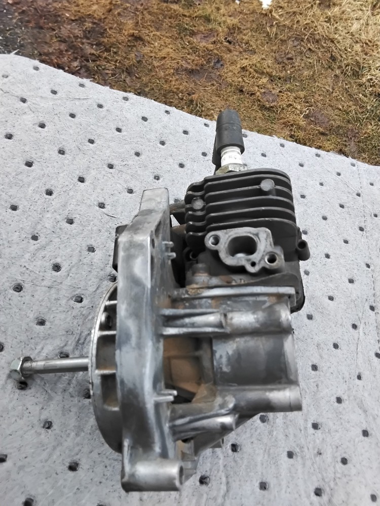 Poulan 23cc PE 550 Edger Engine Powerhead