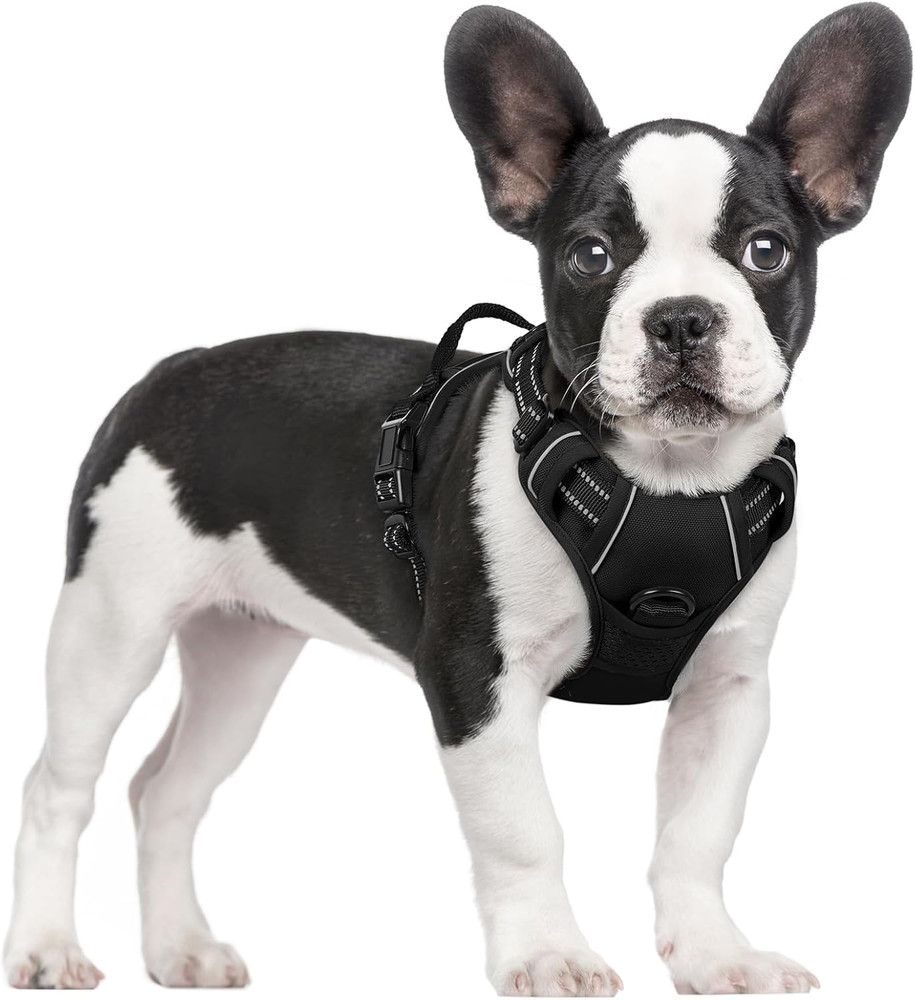 Dog Harness No Pull with 2 Leash Clips, Adjustable Soft Padded, Reflective Oxfor