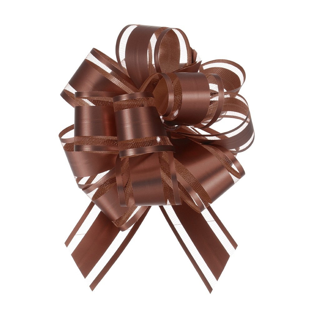 10pcs 4 Inch Large Big Pull Bow Gift Wrapping Ribbon for Presents, Coffee