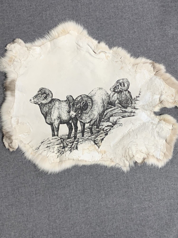 Printed Rabbit Pelt: Big Horn Sheep