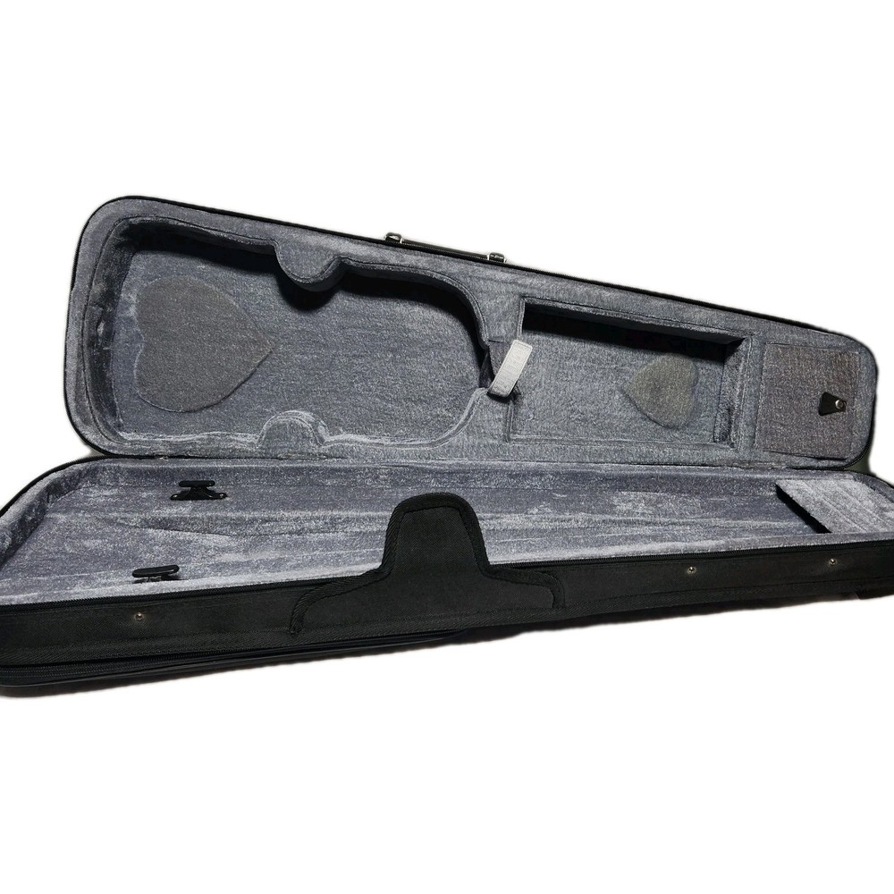 Violin/Viola Case With Backpack Straps Zippers Work Nice Shape