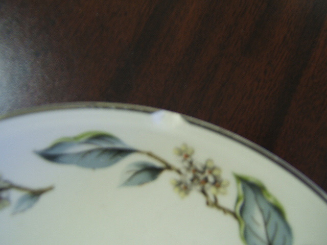Homer Laughlin Eggshell Nautilus, Leaf & Tiny Flowers 59 Pieces Dinnerware