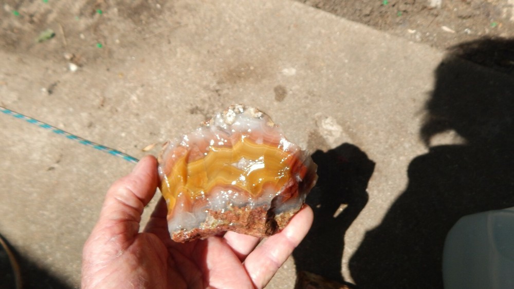 Laguna Agate Cabbing rough