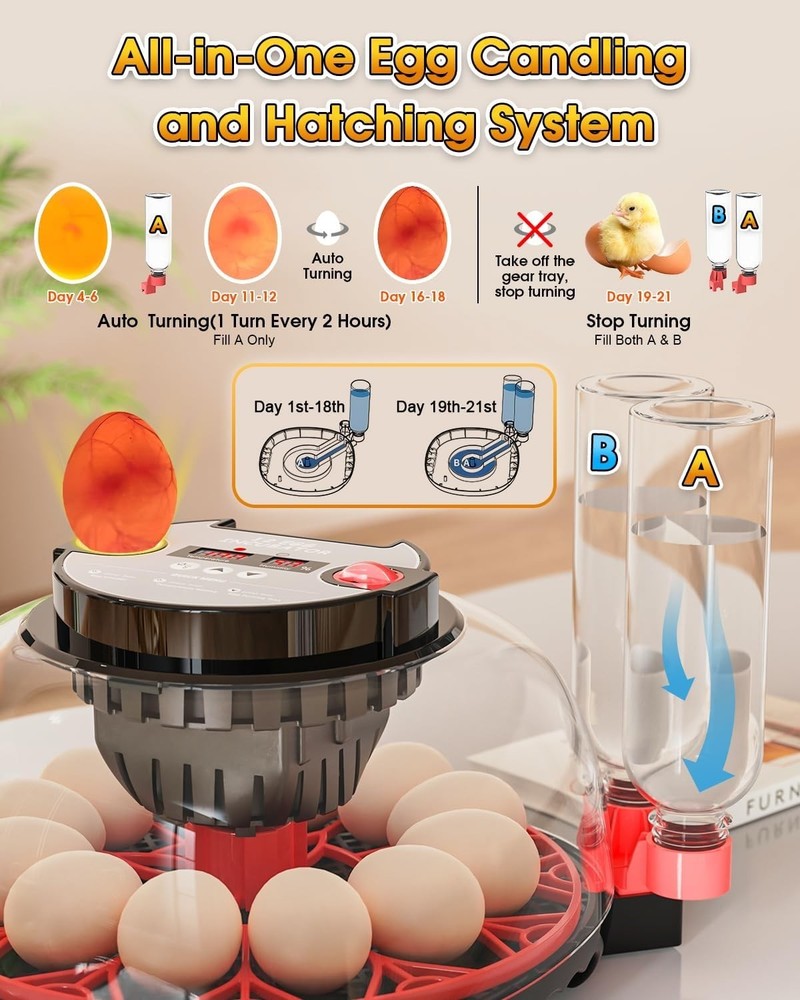 12 Egg Incubator with Automatic Egg Turning and Humidity Control