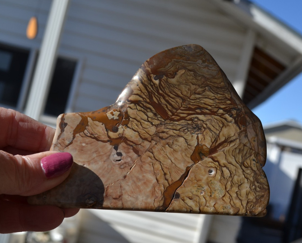 Biggs Jasper polished slab