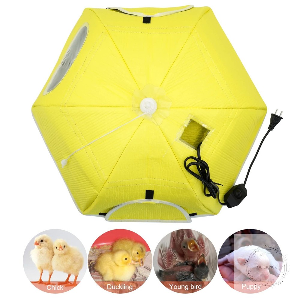 Large Chick Brooder Heating Plate Chick Brooder Box 21.6" Heat up to 50 Chicks