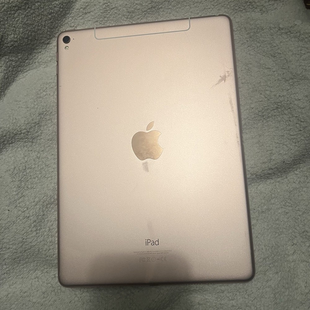 iPad